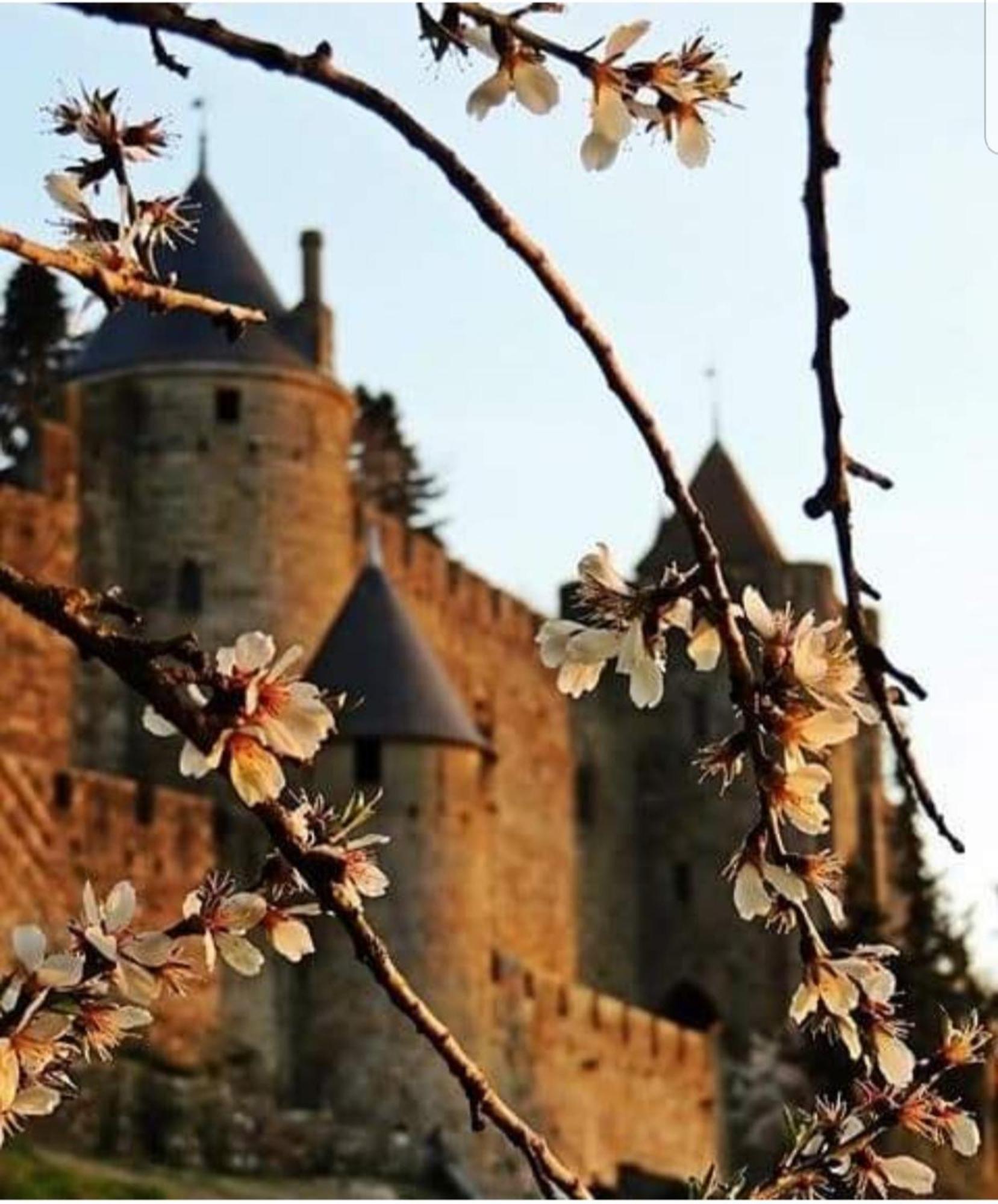 Villa Elegante A Carcassonne Avec Jardin Et Jacuzzi Exterior foto